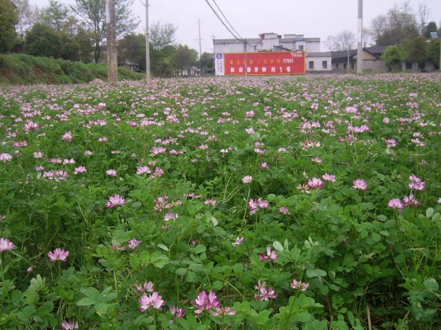 陳正松外婆家－崇陽(yáng)縣《吳家門(mén)》的文化底蘊
