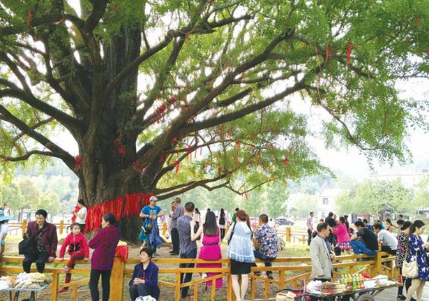 五一期間，大洪山景區游客“井噴”